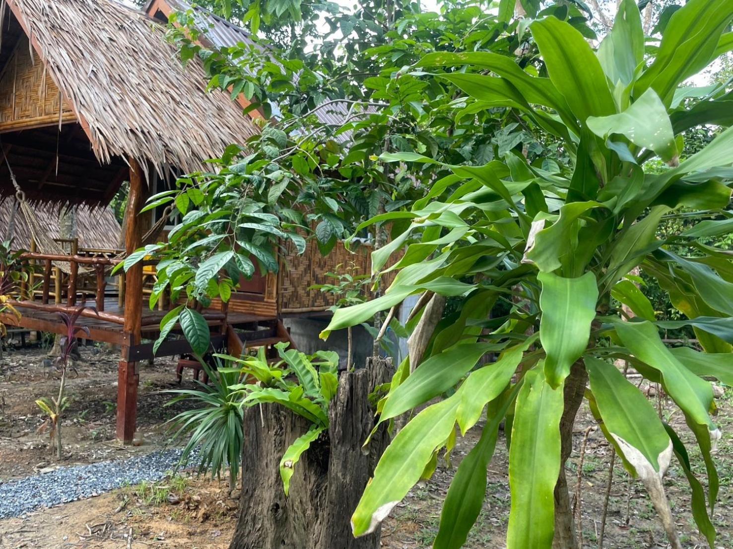 Apartamento Dahla Lanta Hut Ko Lanta Exterior foto